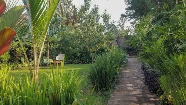 Ảnh chưa phân loại, 1 trong số 9 ảnh, nút