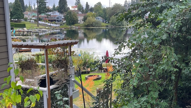 A lakeside garden with a pergola, a small pond, and a view of houses in the background.