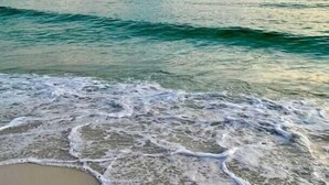 Une plage où les vagues se brisent sur le rivage.