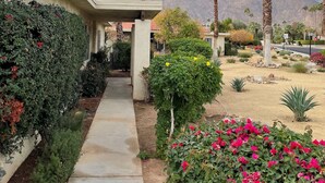 A pathway leading to a building with a mountain backdrop, surrounded by various plants and palm trees.