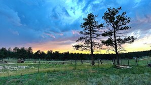 A rural landscape with a clear sky, a fence, and trees.