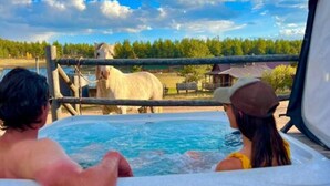 A hot tub with two people inside, surrounded by a fence and a horse in the background. - Rustler Cabin - Kitchen  included (Lake George)