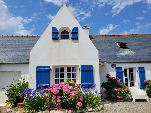 Tipoz'Immo âą Maison Bleue Walking distance to the beach âą Surf spot âą garden