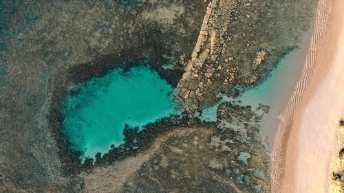 Praia do Forte - Seaside - Luxury Apartment!