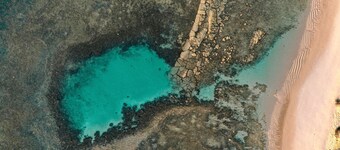 Praia do Forte - Seaside - Luxury Apartment!