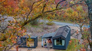 A modern cabin with a large deck, surrounded by autumn foliage.