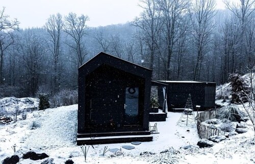 TinyHouse with Sauna at the edge of the forest