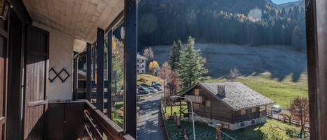 アパートメント バルコニー マウンテンビュー | バルコニー