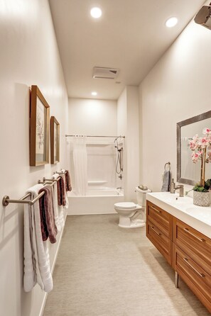 Hair dryer, towels, soap, toilet paper - Nemo Winter Suite: Sleeps 8 - Nemo Mtn View - Near ATV trails (Nemo)