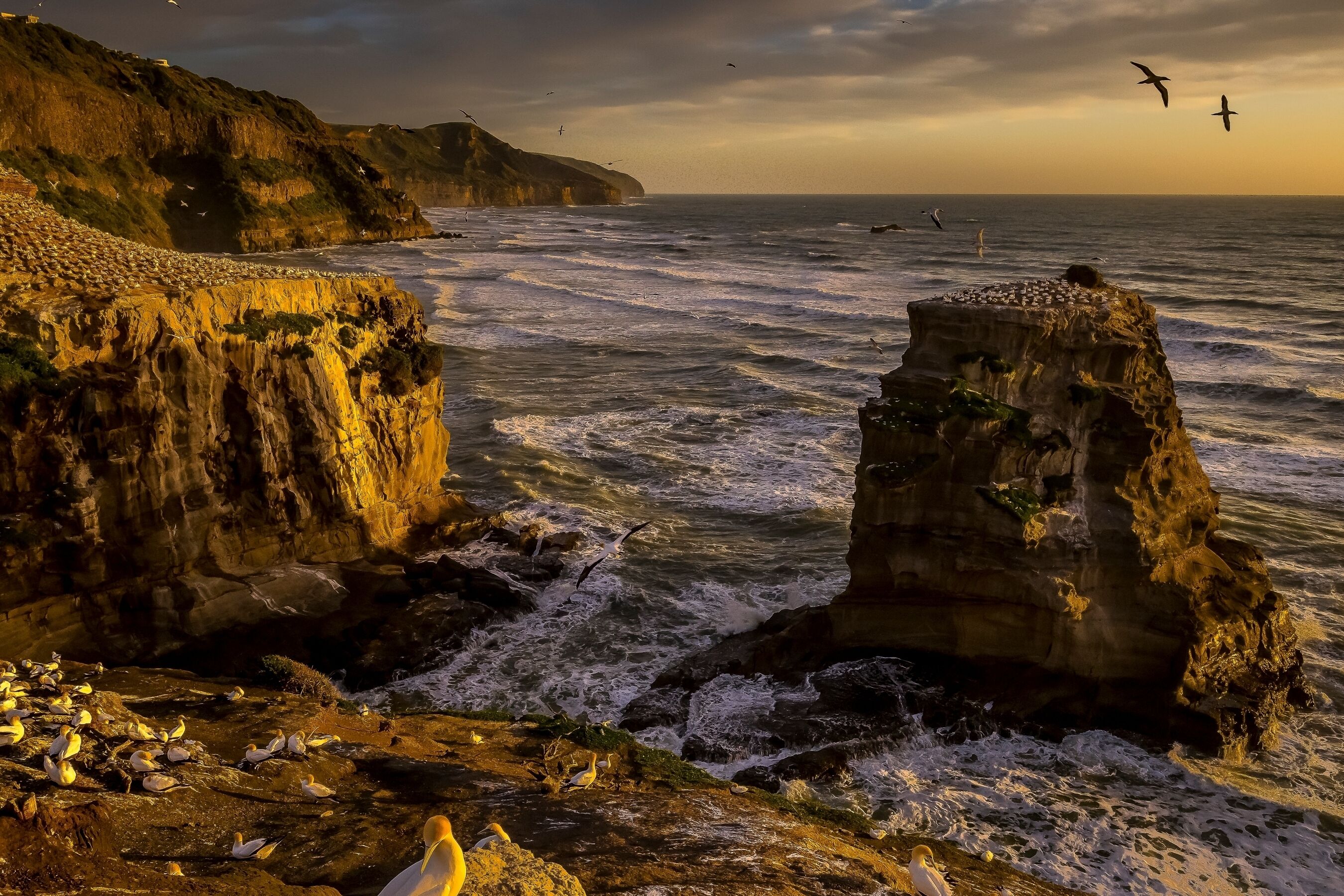 A coastal scene with rocky cliffs and waves crashing against them.