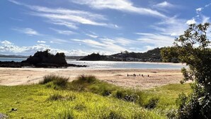 A beach with a rocky outcrop, grassy foreground, and a clear sky. - Driftwood Retreat - Tutukaka (Tutukaka)