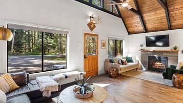 Smart TV, fireplace, books