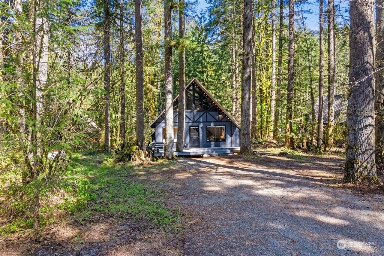 A cabin in a forest with a gravel path leading to it.