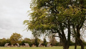 Une rangée de cabanes en bois, avec un grand arbre au premier plan.
