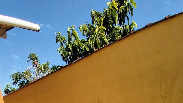 Una piscina amb rajoles blaves i un paviment de rajola.