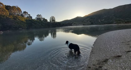 Ruru at Ligar Bay