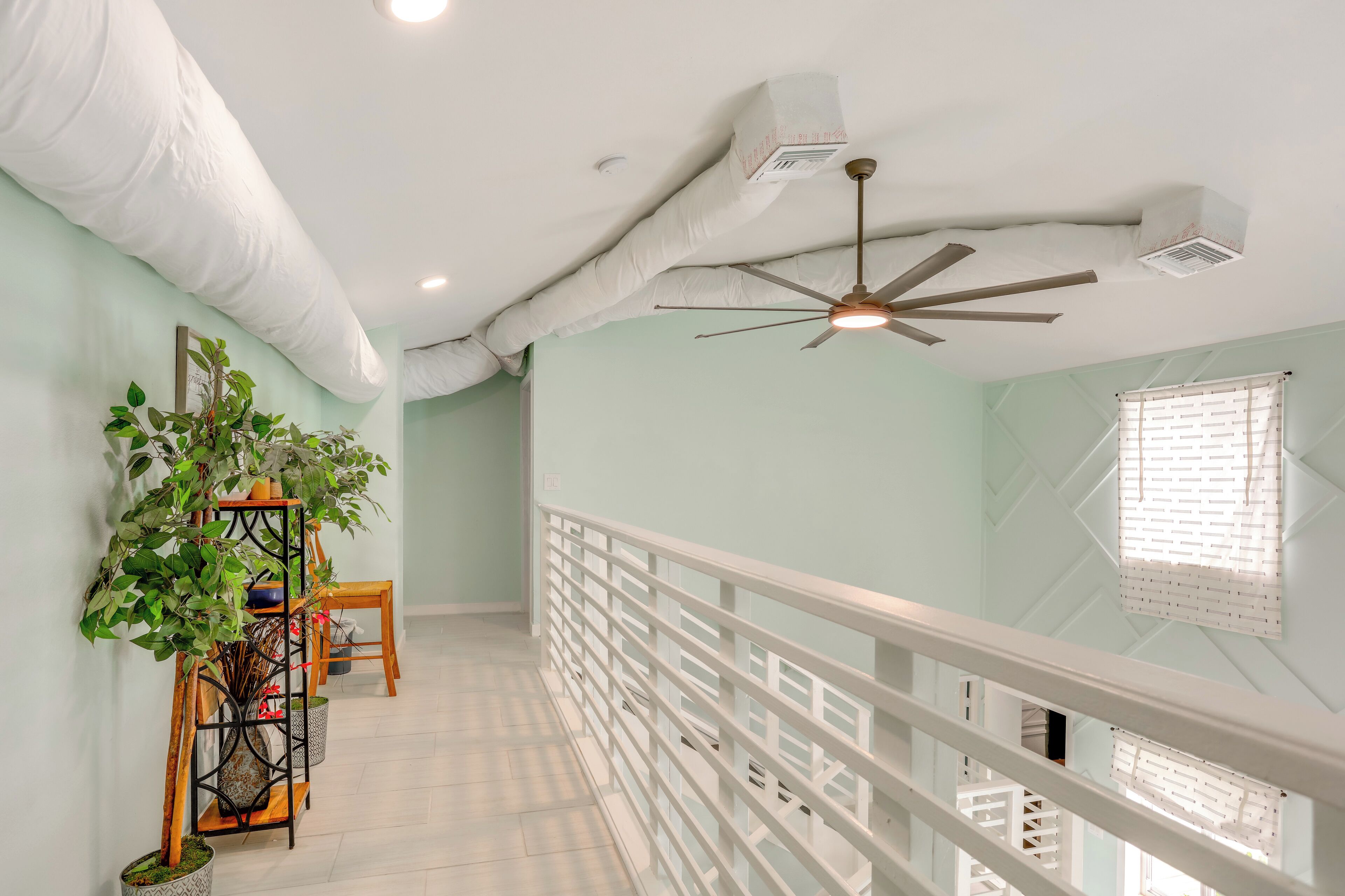 A room with a white ceiling, a ceiling fan, a window with blinds, and a plant on a wooden stand.