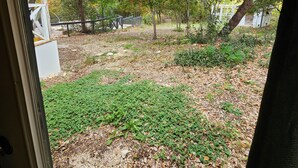A view of a garden area with trees, a fence, and a building in the background. - Charming studio in delightful Spring Branch for a quick, tranquil stay.   (Spring Branch)