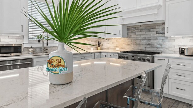 A modern kitchen with white cabinetry, a marble countertop, a gas stove, and a potted plant.