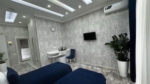 A hotel room with a bed, a desk, a chair, a TV, and a potted plant.