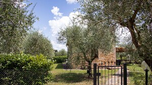 A fenced garden area with olive trees, a stone wall, and a metal gate. - Cosy apartment with pool, A/C, WIFI, TV, patio and panoramic view, close to San Gimignano (Montauto)