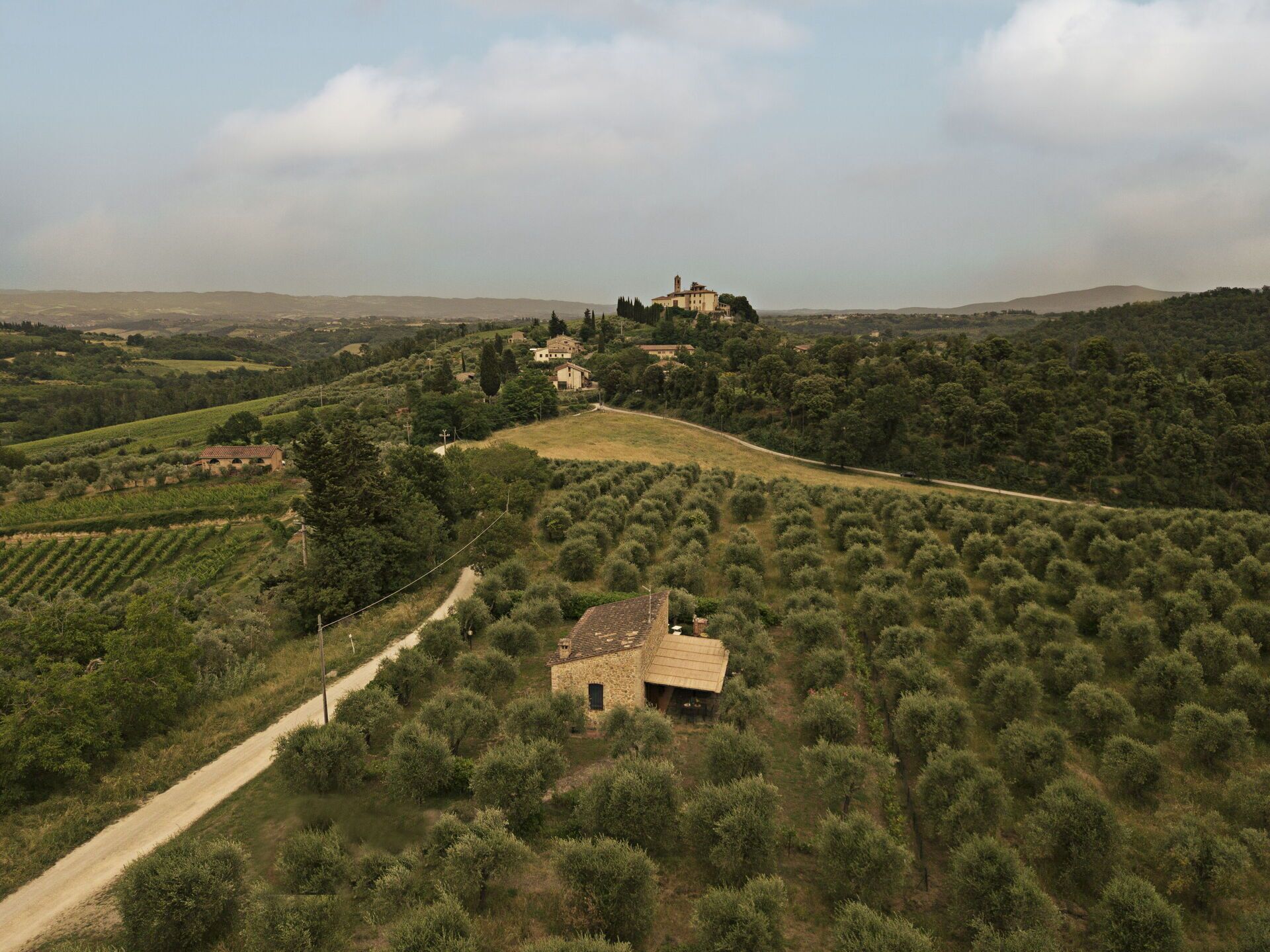 Paesaggio rurale con uliveti, una casa in pietra e un edificio in lontananza su una collina.