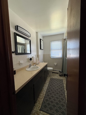 Hair dryer, towels, soap, toilet paper