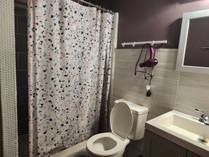 Ducha, secador de pelo, toallas, papel higiénico