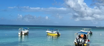 Comfortable 2-bedroom retreat nestled in the vibrant West End- Apt#4