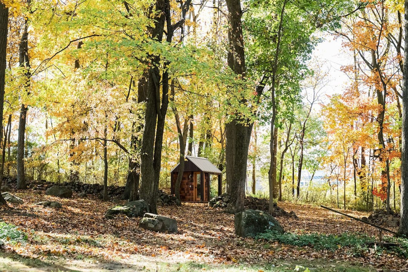 A rustic cabin surrounded by a forest with autumn foliage.