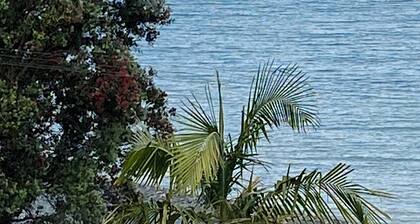Charming Waharau seaside holiday house close to regional park.