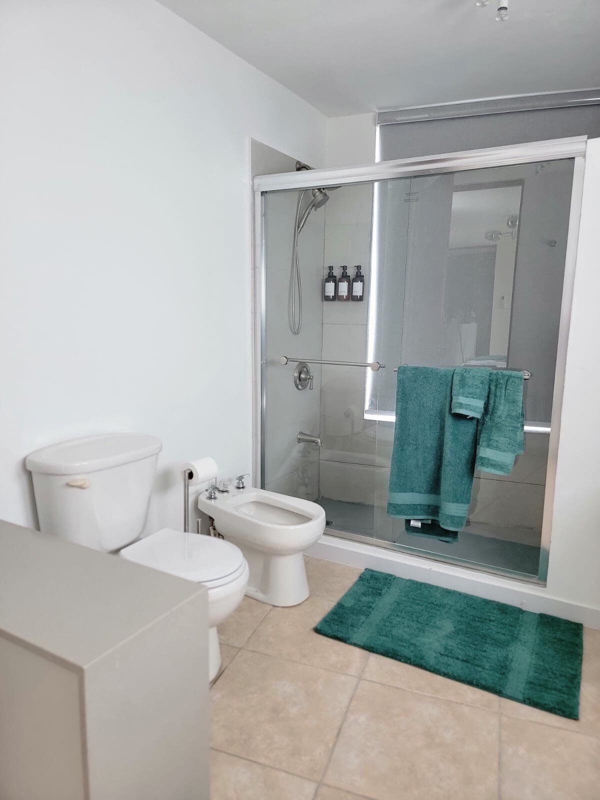 Ducha, secador de pelo, bidé y toallas