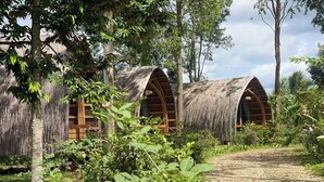 A rustic building with thatched roofs and wooden windows, surrounded by lush greenery and a clear path leading to it. - Hizo Garden Resort (Ea Nuol)