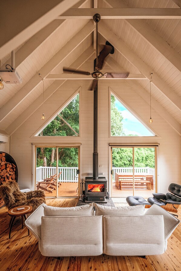 Smart TV, chimenea, estéreo y monitor de computadora 