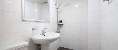 A bathroom with a pedestal sink, a handheld showerhead, a toilet, and a mirror.