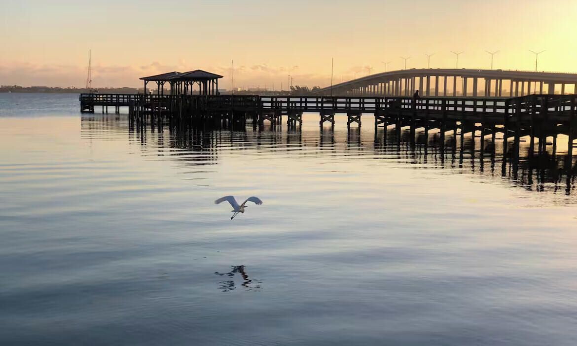 A pier extending into calm water with a bird flying over it.