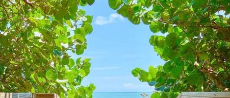 Plage à proximité, chaises longues, serviettes de plage