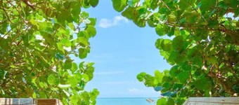 RV in Art District and Close to the BEACH! Pool & Hot-Tub & Fenced/Pet-Friendly!