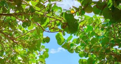 RV in Art District and Close to the BEACH! Pool & Hot-Tub & Fenced/Pet-Friendly!