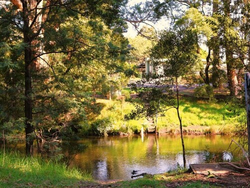 Kookaburra's Perch Tiny House. Secluded, Peaceful and Dog Friendly.