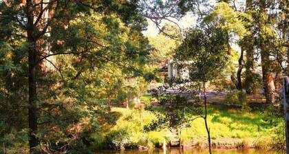 Kookaburra's Perch Tiny House. Secluded, Peaceful and Dog Friendly.