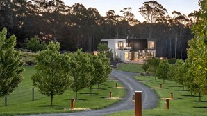 Une maison moderne à deux étages, dotée d’une allée menant à l’entrée, et entourée d’une pelouse bien entretenue et d’arbres.