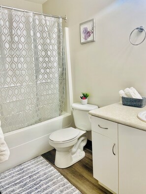 Assecador de cabells, bidet, tovalloles i sabó 