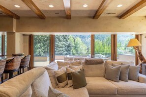 Smart TV, fireplace, books, offices