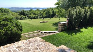 A grassy area with stone steps leading down, surrounded by trees and a stone structure.