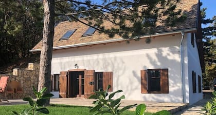 Landhaus Pirk Impressive panorama, peaceful surroundings, comfortable, spacious apartments