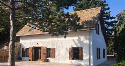 Landhaus Pirk Impressive panorama, peaceful surroundings, comfortable, spacious apartments