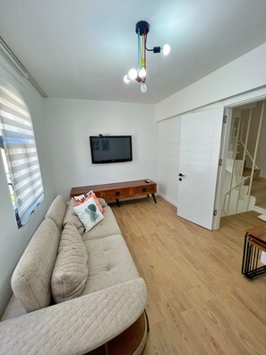Flat-screen TV