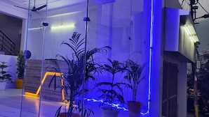 Un espacio interior moderno con paredes de vidrio, plantas en macetas y una escalera.