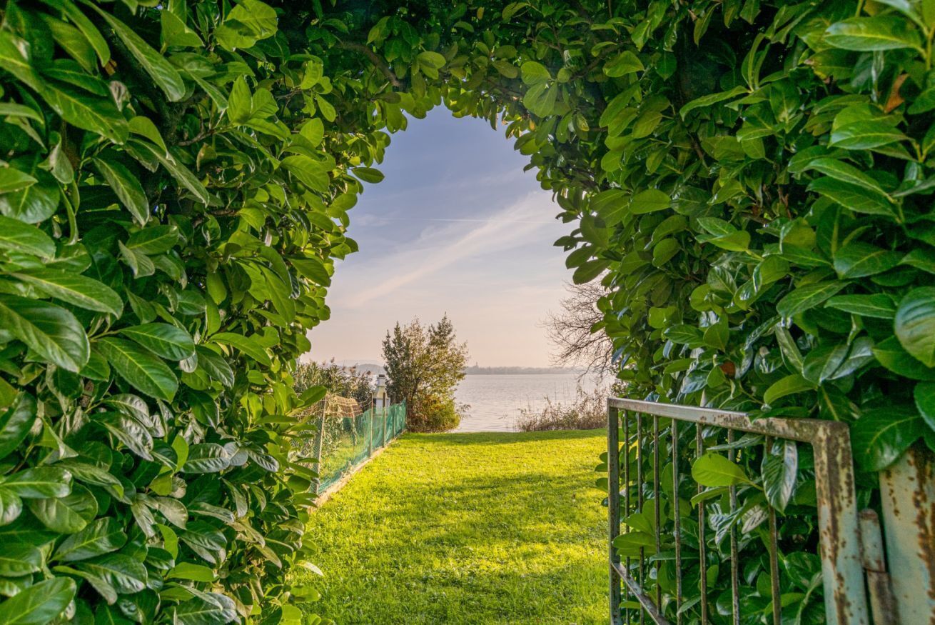 Área da propriedade